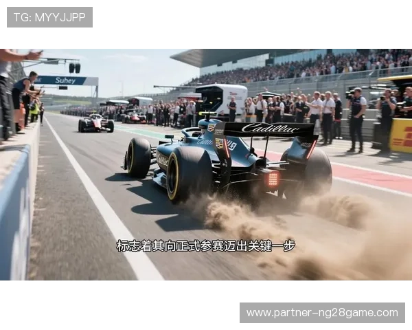 F1赛季最新动态揭秘车队策略调整与明星车手表现分析